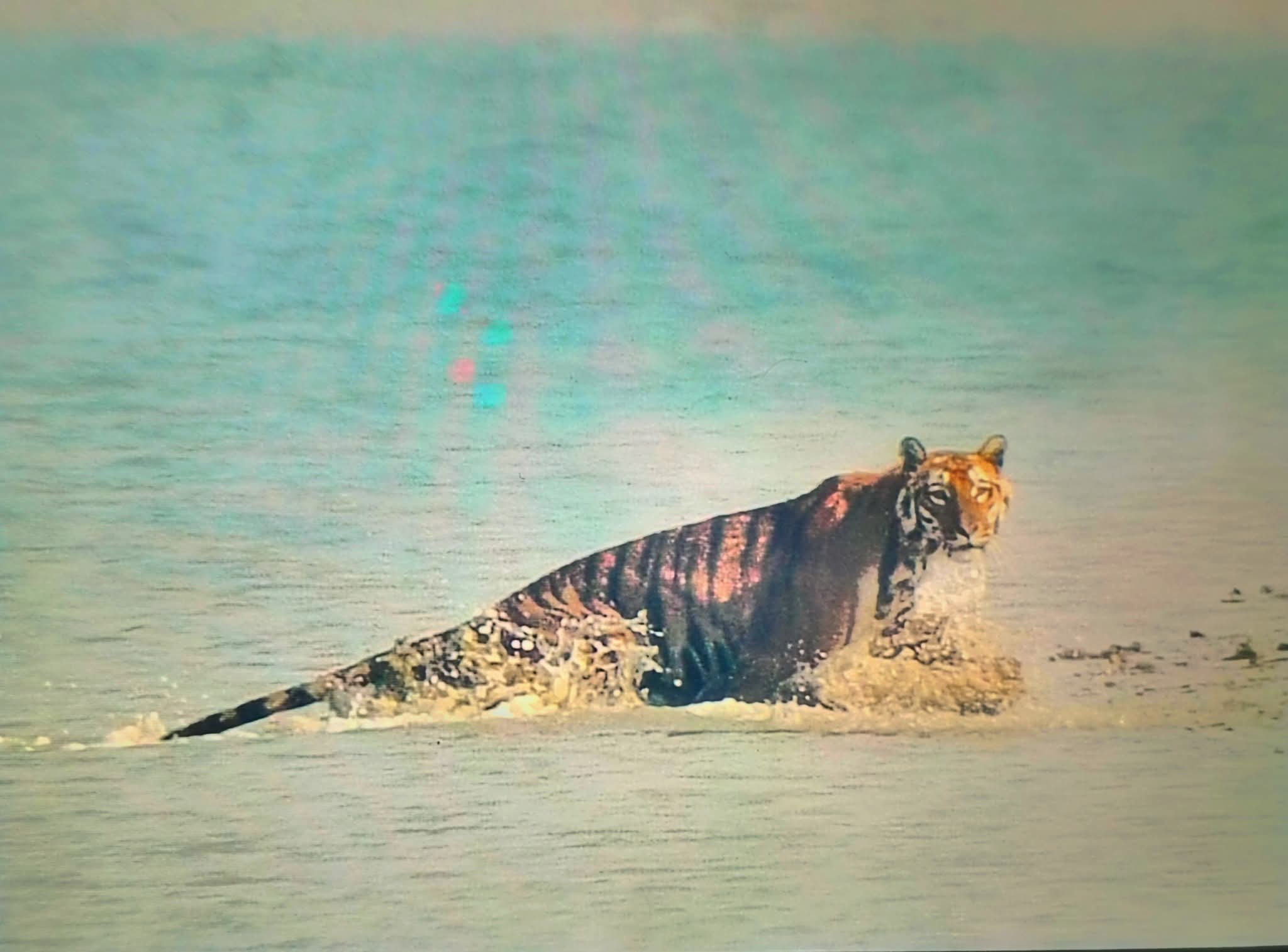 images/WhatsApp Image 2025-12-02 at 7.40.07 PM (1).jpeg